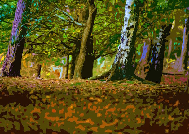 pittura a olio