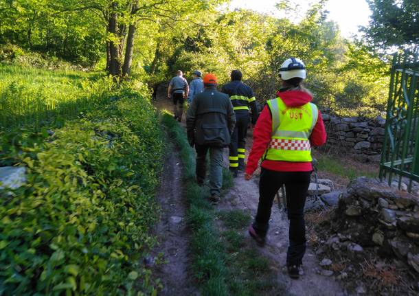 Continuano le ricerche dell\'anziano disperso