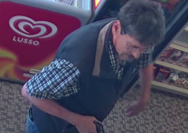 Rapinatore Stabio - foto