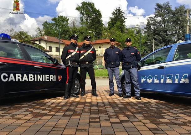 gallarate generico