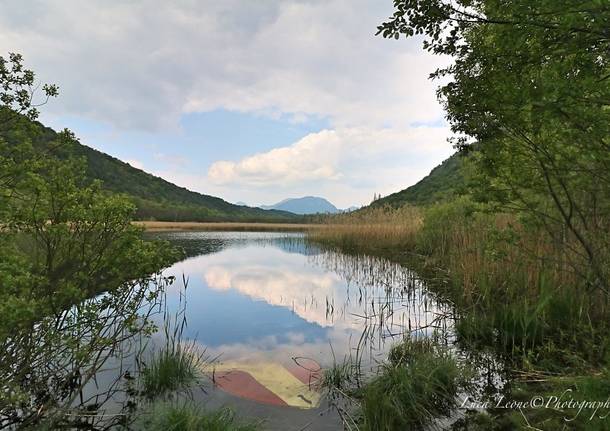 La torbiera del Pralugano in Valganna negli scatti di Luca Leone