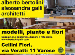 vario