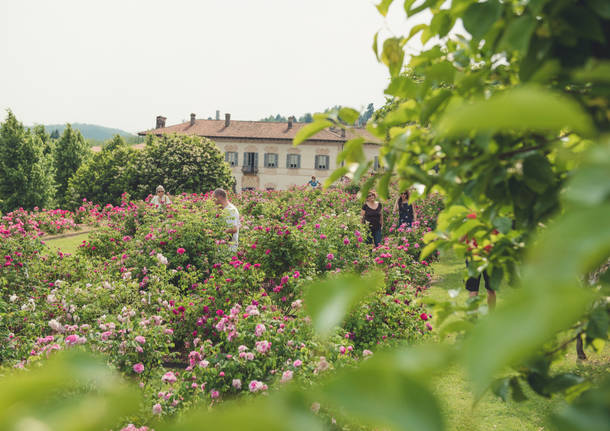 villa della porta bozzolo