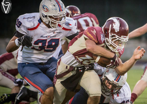 hogs reggio emilia blue storms busto football americano