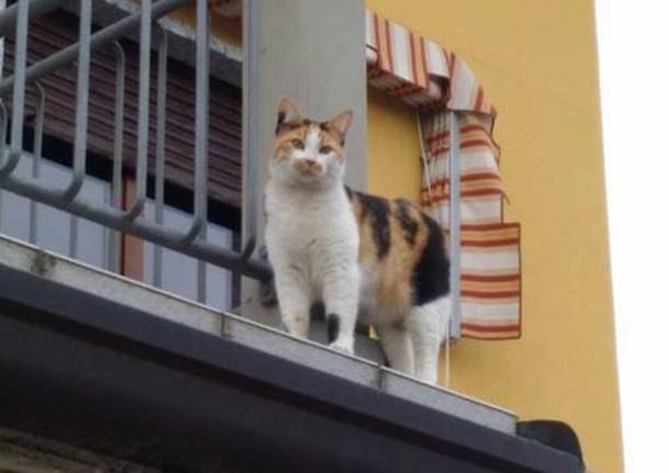 Zoe è scappata