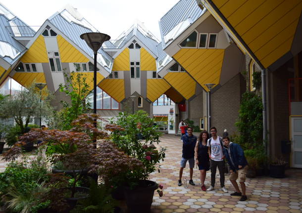 In bici in Olanda: in visita alla città di Rotterdam