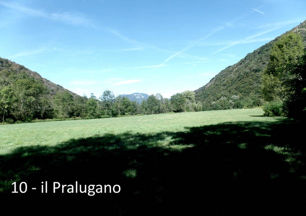 Tra i fiori e le piante del Pralugano e del parco di Villa Cagnola