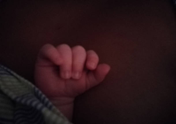 Benvenuto Vito Daniel!