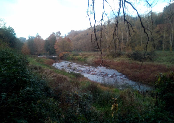 valle olona fiume lonate ceppino