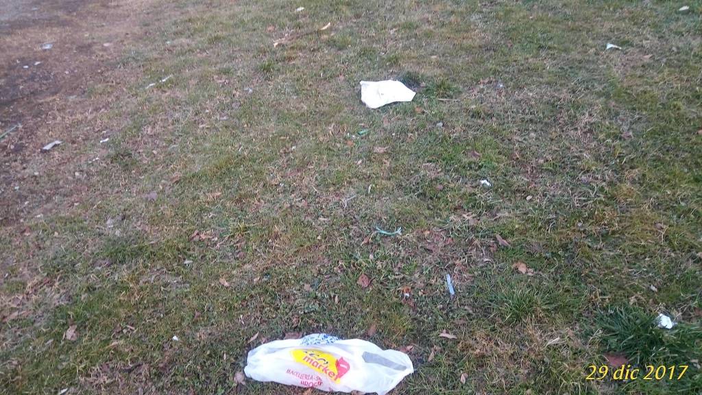 Parco di Bizzozero sporco, rifiuti