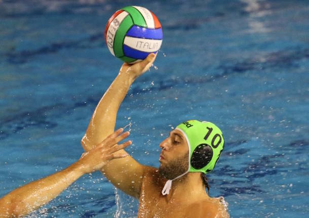 stefano luongo pallanuoto banco bpm