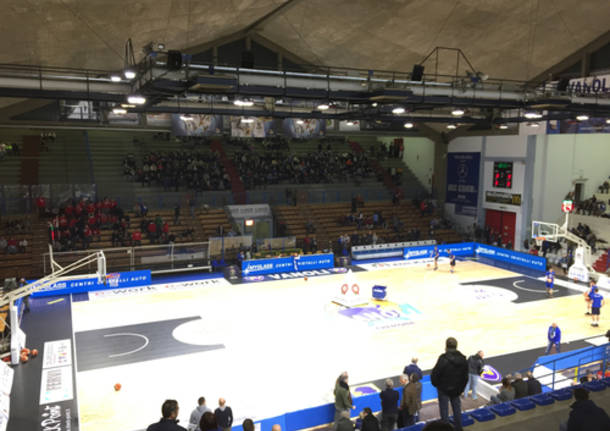 palaradi cremona