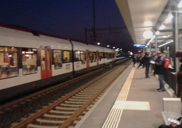 svizzera generiche