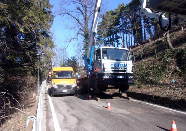 Taglio piante al Sacro Monte