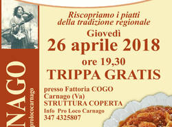 FESTA DEL CIBO DI STRADA