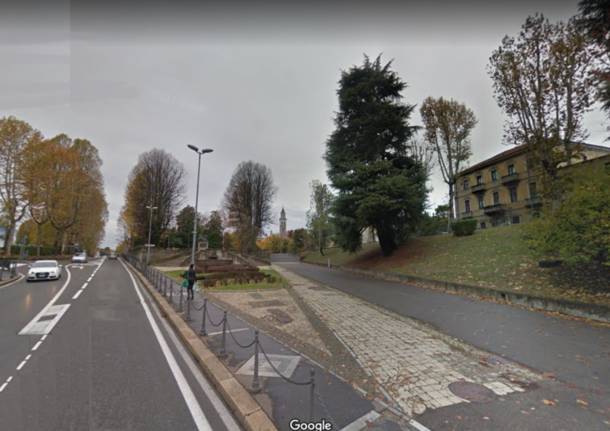 Addio ai cedri pericolanti: in arrivo le ortensie biancocelesti