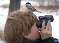 Birdwatching