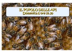 Il popolo delle api - Un pomeriggio con l\'apicultore