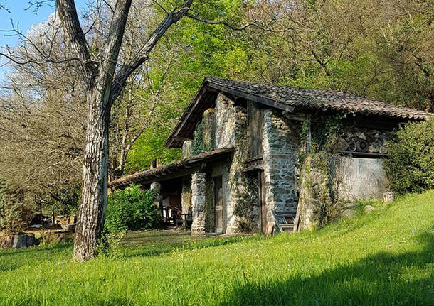 Porto Ceresio, tra Cà del Monte e Serpiano - foto di Dina Rebeschi