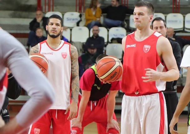 tomas dimsa basket pallacanestro varese