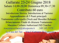Corso Introduttivo Jin Shin Do®
