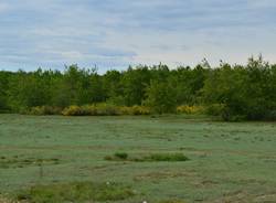 Il Campo della Promessa