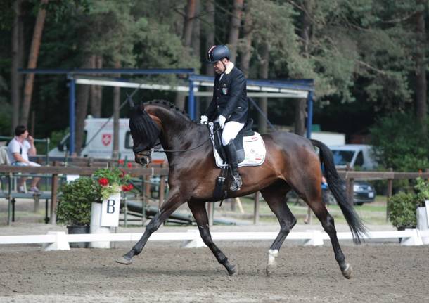 meeting equestre somma