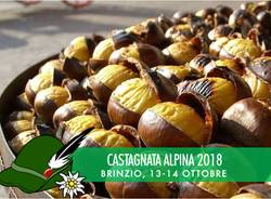 Castagnata Alpina