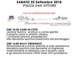 6 zampe in città