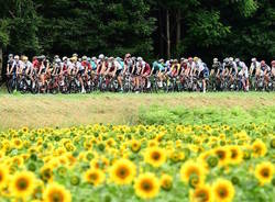 tour de france ciclismo maglia gialla