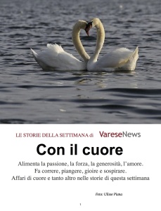 Le storie della settimana