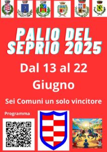 Palio del Seprio 2025 