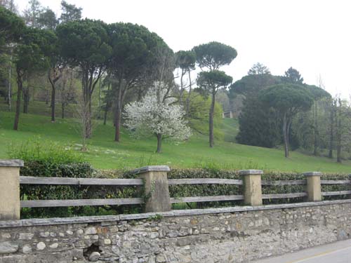 Un parco alla pendici del Campo dei Fiori