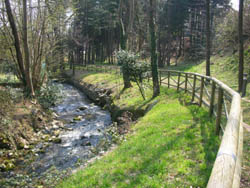 Il fiume Tinella nel tratto luvinatese