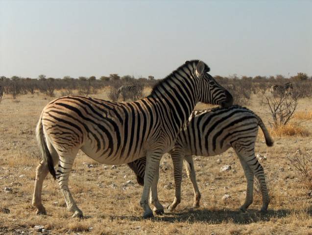 Namibia