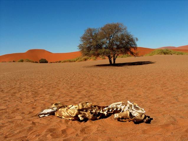 Namibia