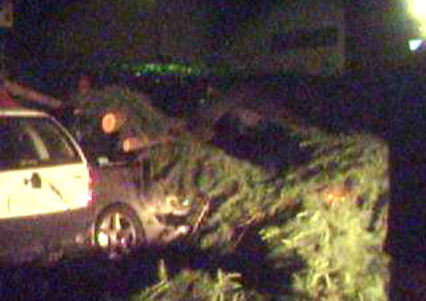 Gavirate: albero caduto su un'auto
