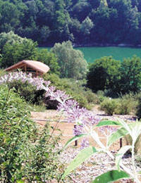 parco degli aironi gerenzano