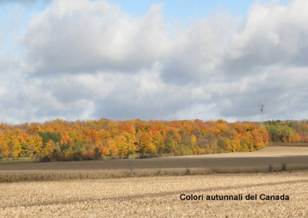 Un Canada dai mille colori