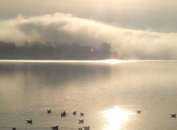 hub australia gavirate