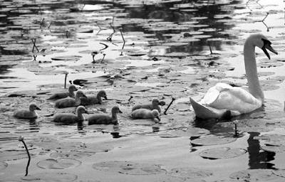 lago perduto pescatori