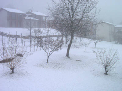 neve comerio