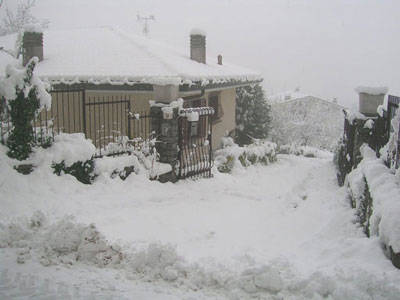 neve orino