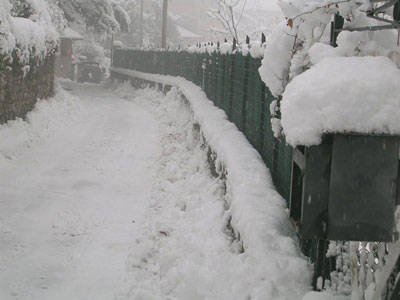 neve orino