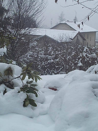 nevicata orino