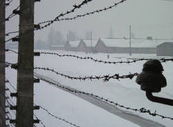 auschwitz birkenau  ebrei shoah