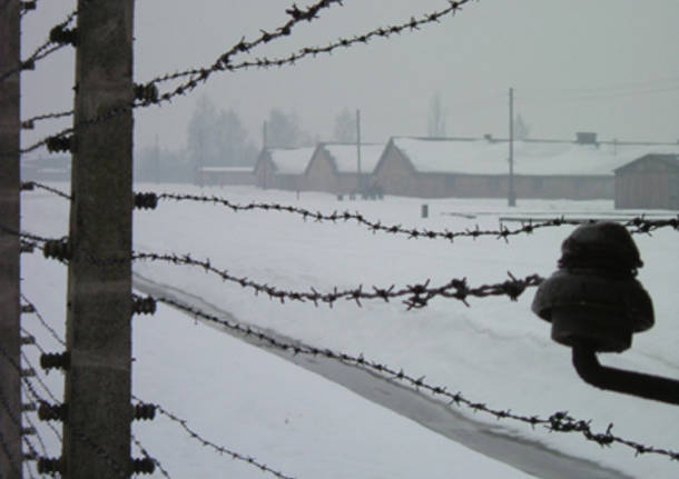 auschwitz birkenau  ebrei shoah