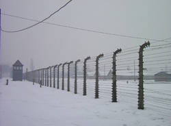 auschwitz birkenau filo spinato shoah