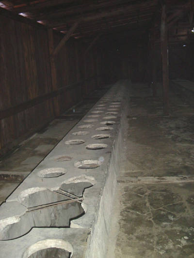 auschwitz birkenau latrine shoah