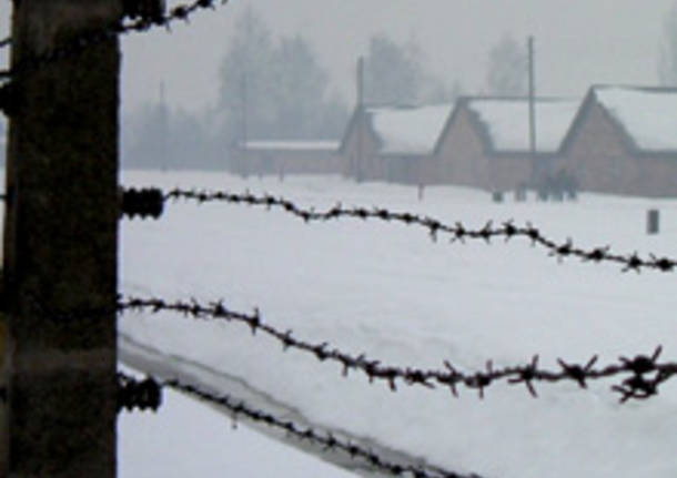 auschwitz giorno memoria